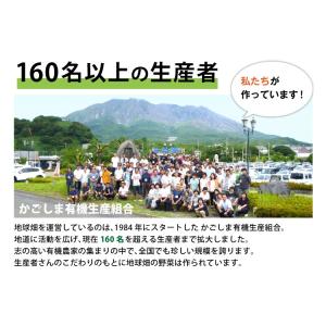 おためし有機野菜セット おまかせ5品目 お試し...の詳細画像3