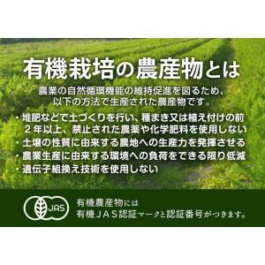 おためし有機野菜セット おまかせ5品目 お試し...の詳細画像4