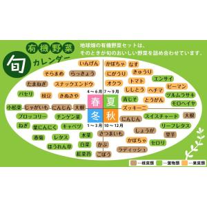 おためし有機野菜セット おまかせ5品目 お試し...の詳細画像5
