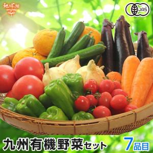 有機野菜セット おまかせ７品目 九州産 鹿児島県 有機栽培 有機JAS 冷蔵便 オーガニック 無農薬 西日本 詰め合わせ 送料無料