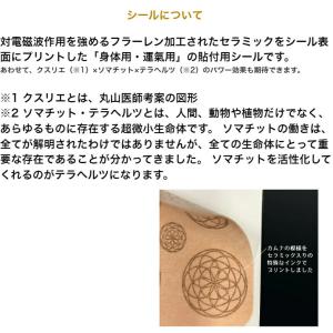 丸山式コイル ブラックアイナノ ピラミド 電磁...の詳細画像3