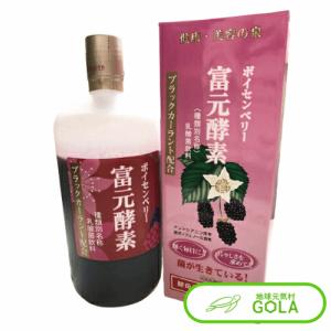 NEW 桑の葉美人 青汁(抹茶風味) 正規品 機能性表示食品 150g （3g×50袋
