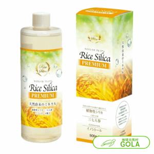 パクパク酵母くん 31袋入り 5箱セット 毎日元気 研究所 毎日笑顔