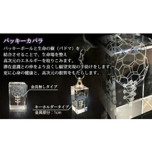 3Dカバラバッキーカバラキーホルダー 丸山アレ...の詳細画像1