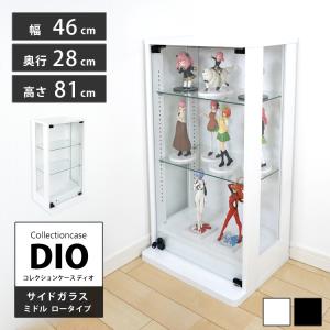 地球家具 コレクションラック DIO 側面ガラスタイプ ディオ 本体 幅