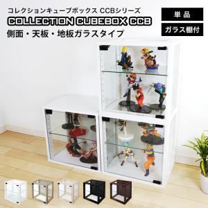 コレクション キューブボックス ガラス扉 側面・天板・地板ガラスタイプ CCB コレクションケース 収納｜地球家具