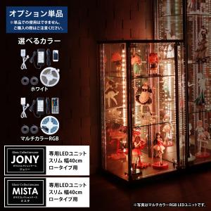 地球家具 [オプション] ガラスコレクションケース MISTA ミスタ ガラス