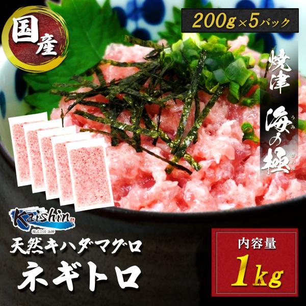 焼津　海の極 絶品 マグロのたたき 200g×5パック 1kg 静岡県焼津市製造 海伸 本場の海鮮グ...