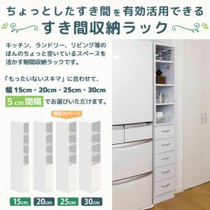 隙間収納ラック 幅25cm オープンタイプ ロシュの詳細画像1