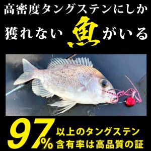 タイラバ タングステン ヘッド 60g 塗装 ...の詳細画像1