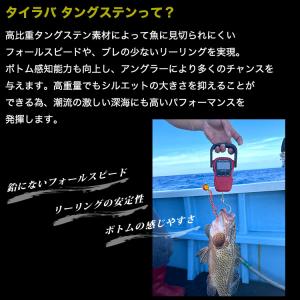 タイラバ タングステン ヘッド 60g 塗装 ...の詳細画像2