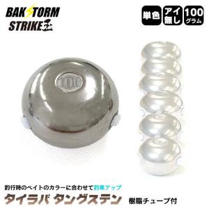 タングステン　タイラバヘッド　100g10個プレーン　専用出品 送料無料】タイラバ タングステン 100g バラ売り 保護チューブ付