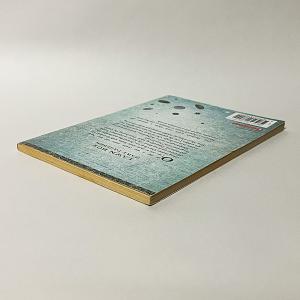 Lawn Boy(洋書:英語版 中古)※ワケありの詳細画像3