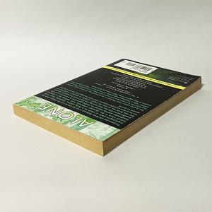 Hatchet/ひとりぼっちの不時着(洋書:英...の詳細画像3