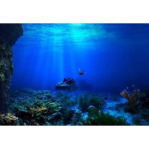 水槽 壁紙の商品一覧 通販 Yahoo ショッピング