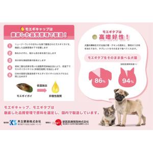 クーポン配布中 交換無料 サプリセット30日分 ミナヘルス 花びらたけ 1日1粒 セラプト タブレット 1日6粒 犬用 体重13 75 15kg 限定価格セール Fluter Com Do