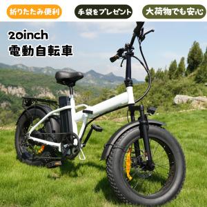 自転車 電動自転車 車 電動アシスト自転車 20 インチ スノータイヤ 折りたたみ式 付属サービス 手袋プレゼント 通学 通勤 アウトドア DDC