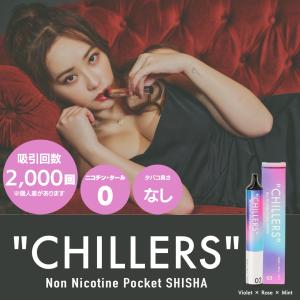2000回吸引 使い捨て電子シーシャ てんちむ...の詳細画像2