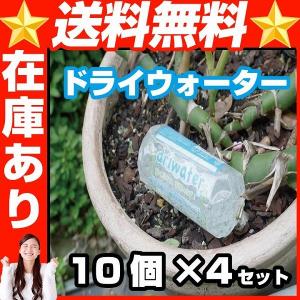 ドライウォーター10個 (×4セット) 花壇の水やりの心配解消！ 出張 留守｜chillin