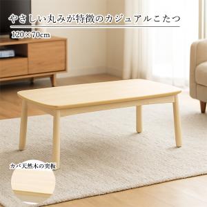 HAGiHARA（萩原） こたつ＋うす掛け布団 2点セット アウロラ100