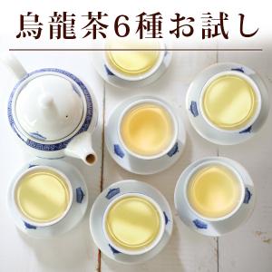 中国茶 台湾茶 ウーロン茶 6種類 飲み比べセット