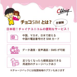 チョコSIM Lプラン データ/音声/SMS付...の詳細画像1