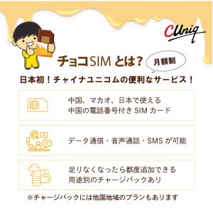 チョコSIM Sプラン データ/音声/SMS付...の詳細画像1