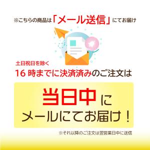 e-SIM/東南アジア10ヵ国周遊(8日/5G...の詳細画像4