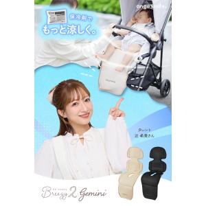 ちゃいなび ファンシート 2025 ツインファ...の詳細画像1