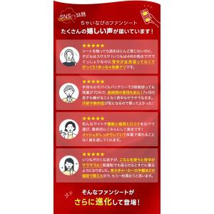 ちゃいなび ファンシート 2025 ツインファ...の詳細画像2