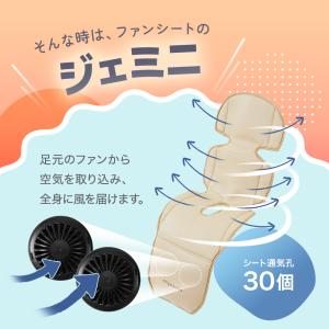 ちゃいなび ファンシート 2025 ツインファ...の詳細画像4