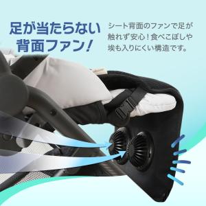ちゃいなび ファンシート 2025 ツインファ...の詳細画像5