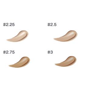 ザセム the SAEM カバーパーフェクショ...の詳細画像3