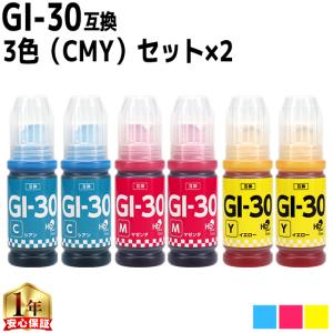 インクのチップス Canon用互換 GI-30 顔料ブラック 4色セット×2 互換