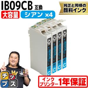 インクのチップス IB09CL4B エプソン プリンターインク 顔料 IB09 互換