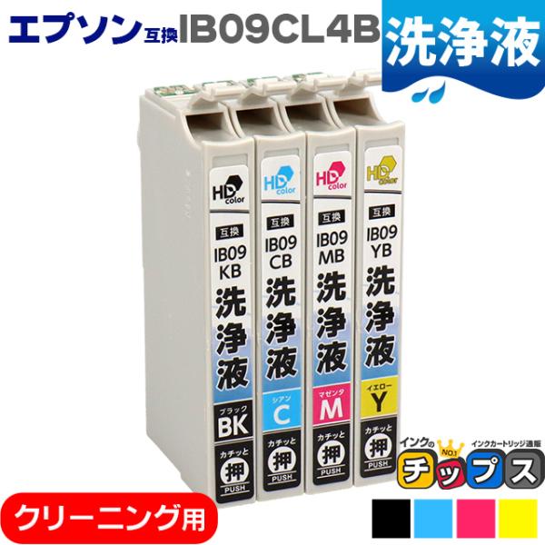 IB09 エプソン IB09CL4B-CL  洗浄液 4色セット 内容：IB09KB IB09CB ...