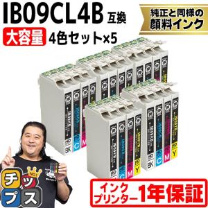 インクのチップス IB09CL4B エプソン プリンターインク 顔料 IB09 互換