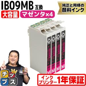 インクのチップス IB09CL4B エプソン プリンターインク 顔料 IB09 互換