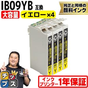 インクのチップス IB09CL4B エプソン プリンターインク 顔料 IB09 互換