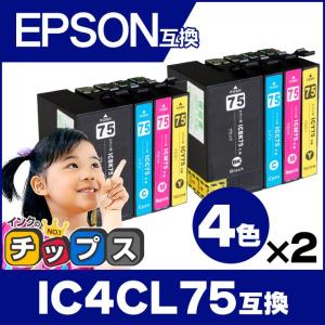 インクのチップス エプソン プリンターインク ICBK75 ブラック 単品×2