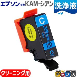 エプソン プリンターインク カメ KAM-C-L シアン 単品 (KAM-C互換の増量版） 洗浄カートリッジ　洗浄液 EP-881A EP-882A EP-883A｜chips