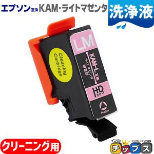 インクのチップス エプソン インク カメ KAM-6CL-L 互換 増量版 EP