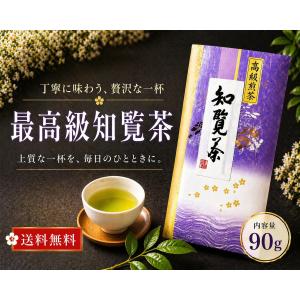 新茶になりました！知覧茶ギフトセット 煎茶 深蒸し茶 高級 90g×2本