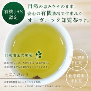 知覧茶 知覧農園 深蒸し 煎茶 野花 70g ...の詳細画像4