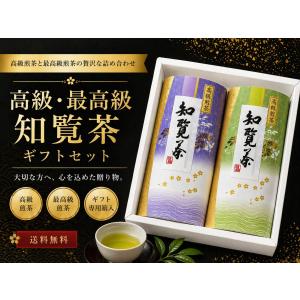 新茶になりました！知覧茶ギフトセット 煎茶 深蒸し茶 高級 90g×2本