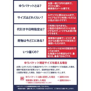 交換・返品不可 ヨネックス アンダーウエア S...の詳細画像4