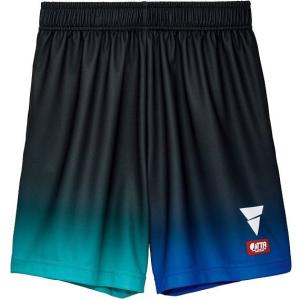 ヴィクタス VICTAS ゲームパンツ V-G...の詳細画像1