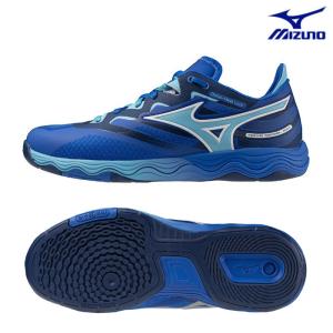 VICTAS（ヴィクタス） ゼクスギア in ZX-GEAR IN 02880 卓球 ラケット