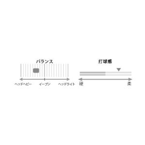 ヨネックス アストロクス33 AX33 バドミ...の詳細画像3
