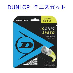 ダンロップ アイコニック・スピード DST310...の商品画像